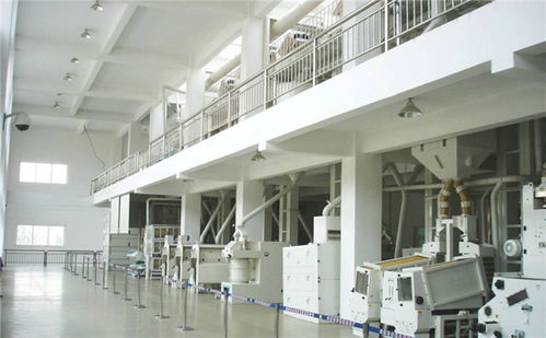 水稻加工成大米加工需要哪些機(jī)械呢